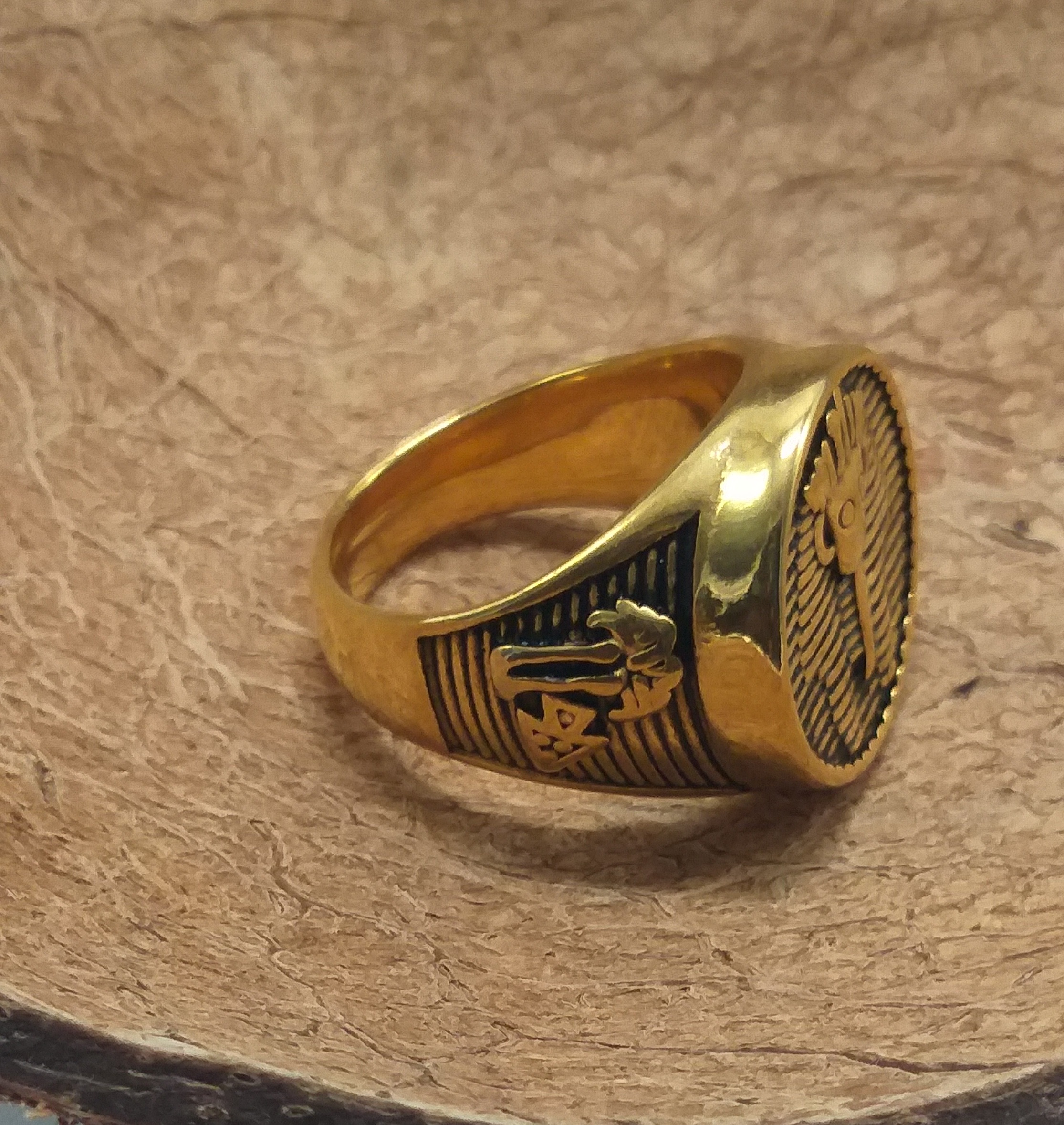 Pharaoh 18k Gold plated stainless steel Men`s Ring